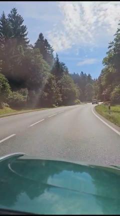 Im Käfer, mit Blick durch Frontscheibe auf die Fahrbarn vor einem. Es ist eine Straße mit Bäumen rechts und links an der Seite.